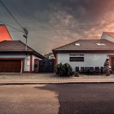 Penzion U Hada Velke Pavlovice Exterior photo