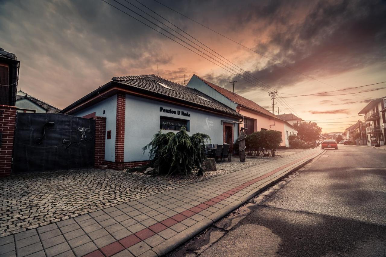 Penzion U Hada Velke Pavlovice Exterior photo