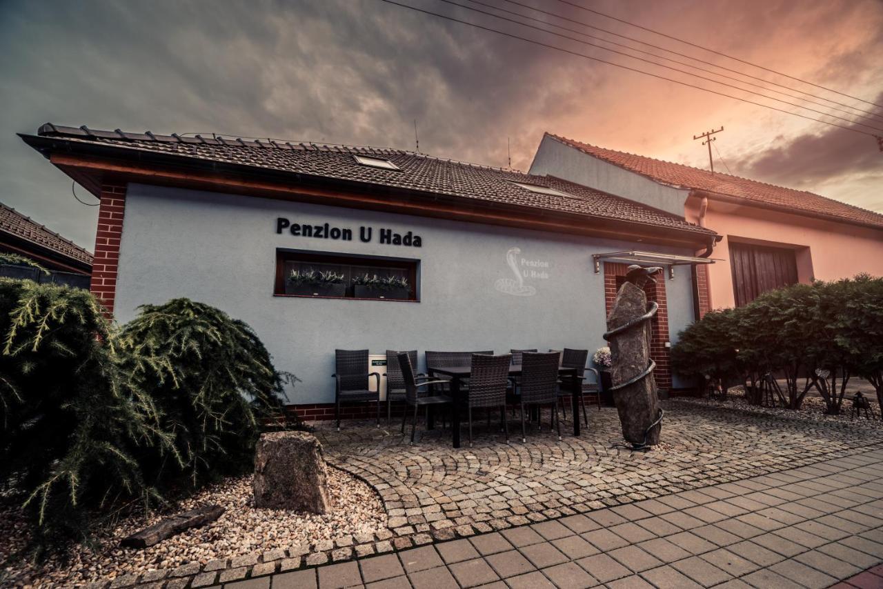 Penzion U Hada Velke Pavlovice Exterior photo