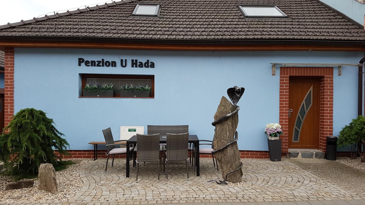 Penzion U Hada Velke Pavlovice Exterior photo